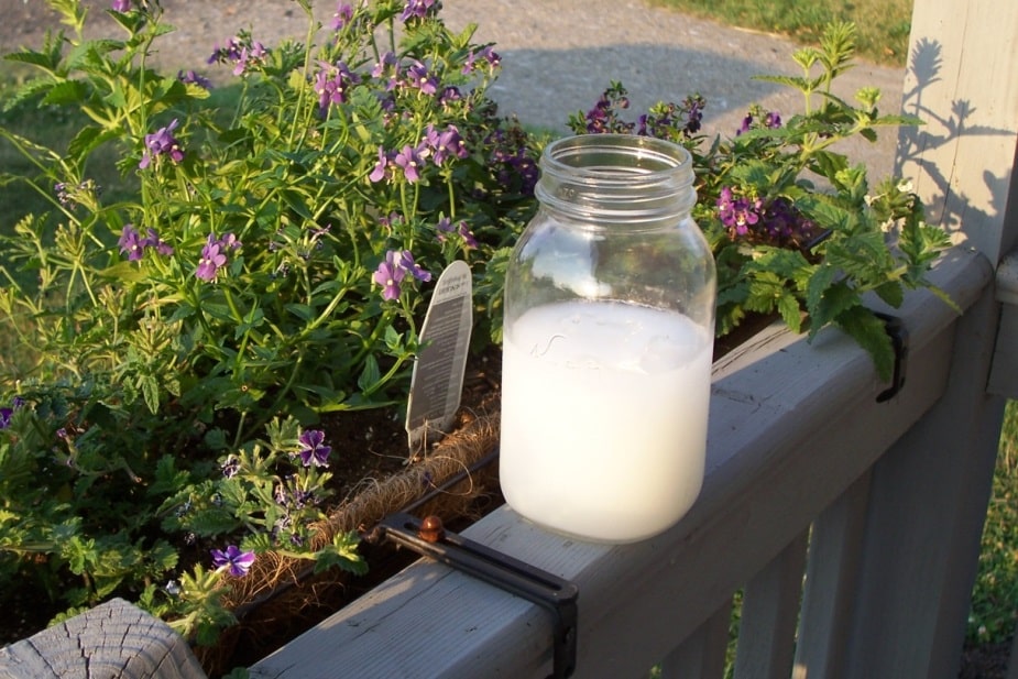 peter's sport drink; homeopathy and smart nutrition