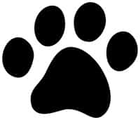 Buster the Bad Office Dog