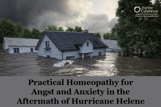 Joette Calabrese, Practical Homeopathy® for Angst and Anxiety in the Aftermath of Hurricane Helene