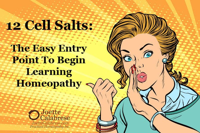 Joette Calabrese, 12 Cell Salts: The Easy Entry Point To Begin Learning Homeopathy