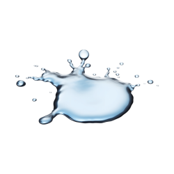 Joette Calabrese, Practical Homeopathy®